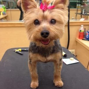 Meet your Posher, Fran